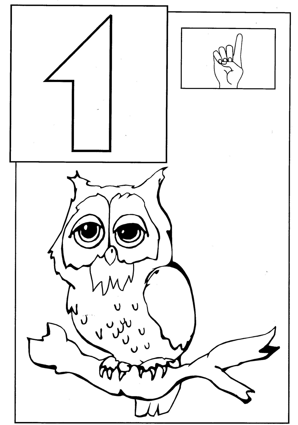 Owl Coloring Page Butterfly Coloring Pages